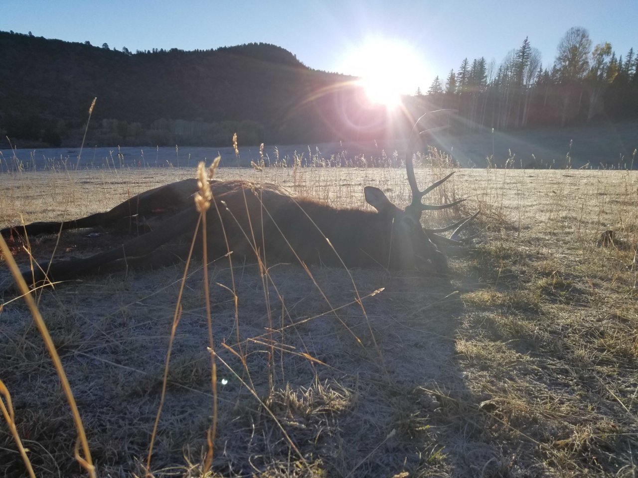 John Elk-Sunrise.jpg