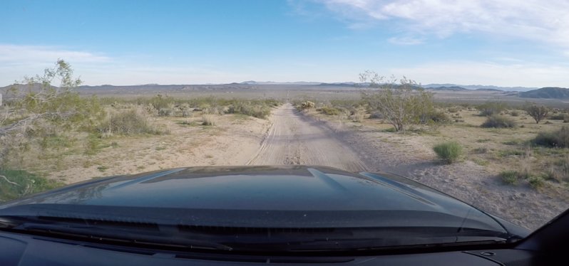 joshua tree 1.jpg