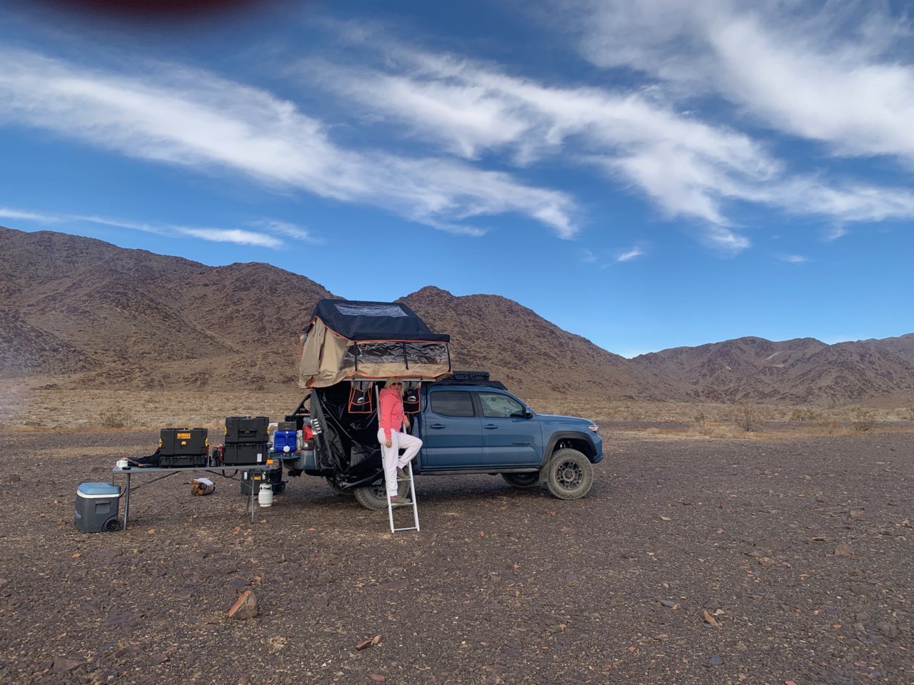 Joshua Tree.jpg