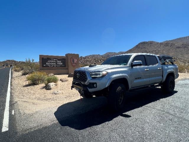 joshua tree.jpg