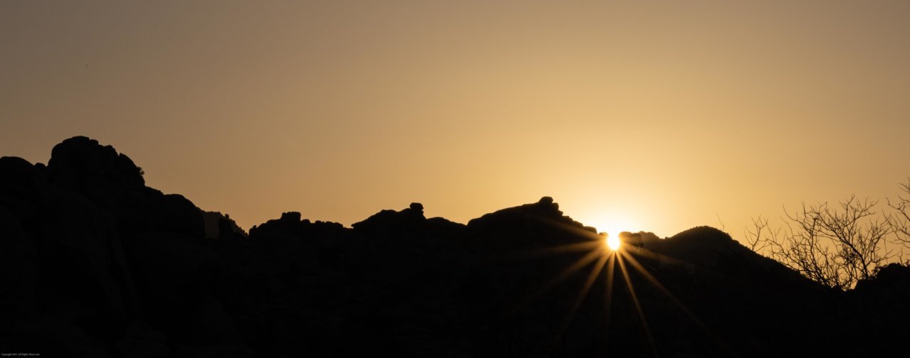 joshua-tree-sunset-1.jpg