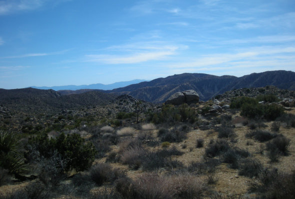 joshuatree3_zps45e02046_9bc0c1d4f261f2a45226a83998ccde3c903ed536.jpg