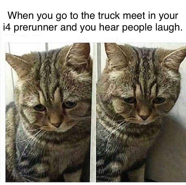 .jpg