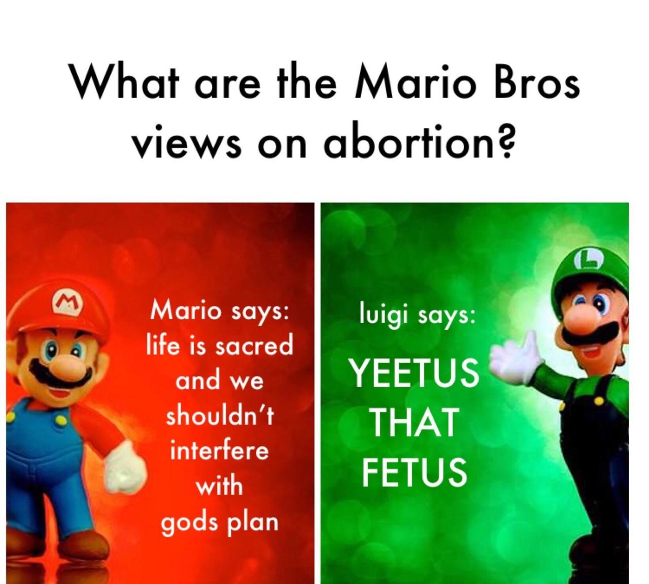.jpg