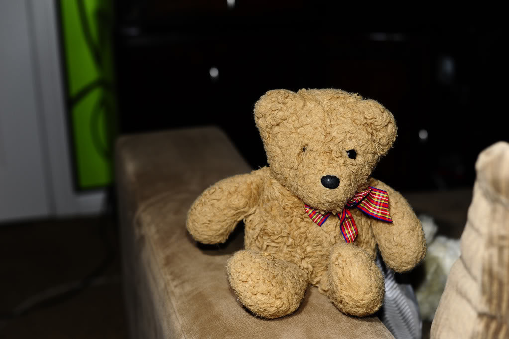 jpgteddy_464daa3281ddb826be1b259bed3d83b20bafca7a.jpg