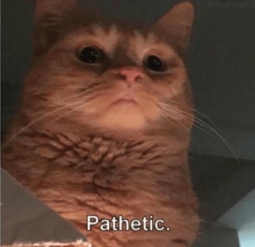 jSpd1oAh.jpg
