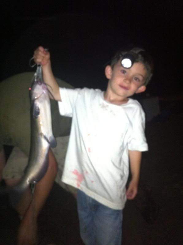 JTCatfish_zps660fe6d5_9f07ae39ecae13be61595345612639e04c7f4644.jpg