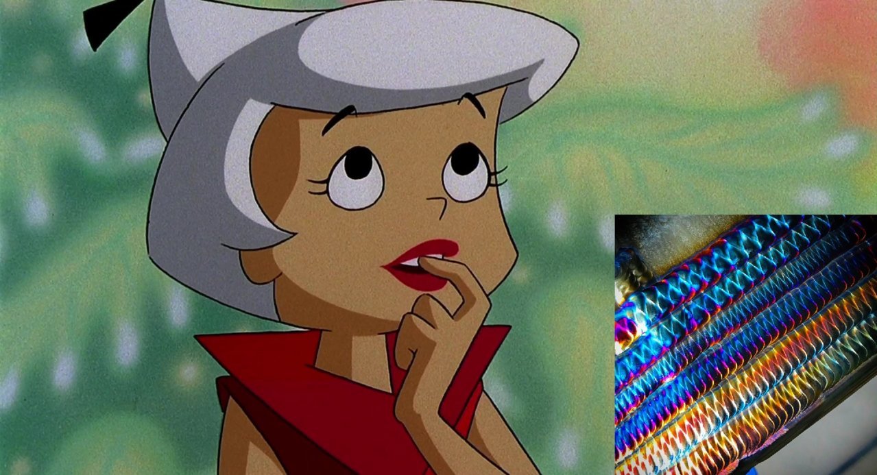 judyweldbeads.jpg