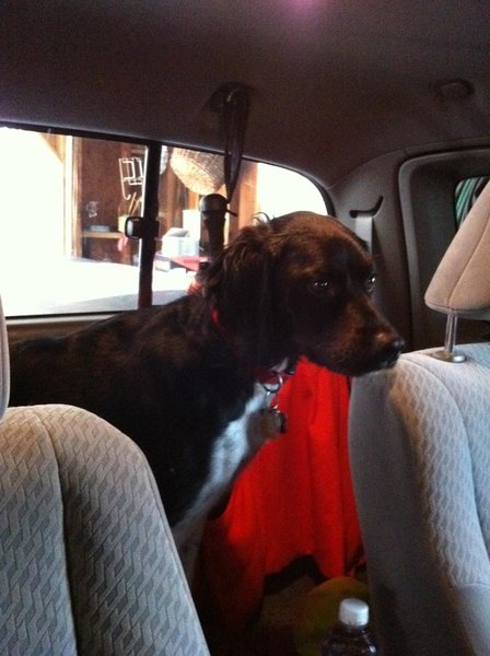 Jump Seat.jpg