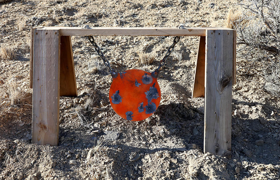 June 20 2021_880 yd target.jpg
