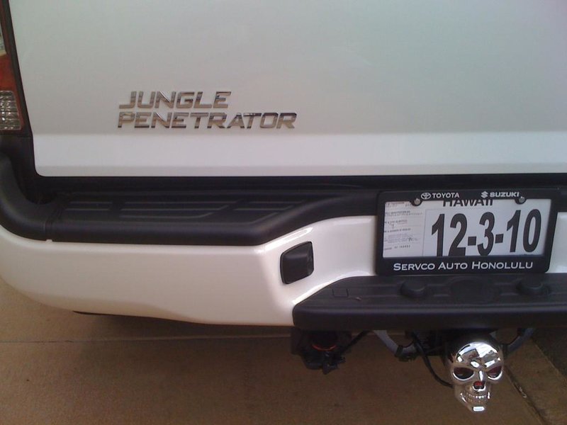jungle.jpg