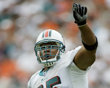 Junior Seau 1.jpg
