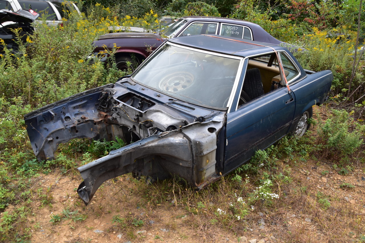 Junkyarding 035.jpg