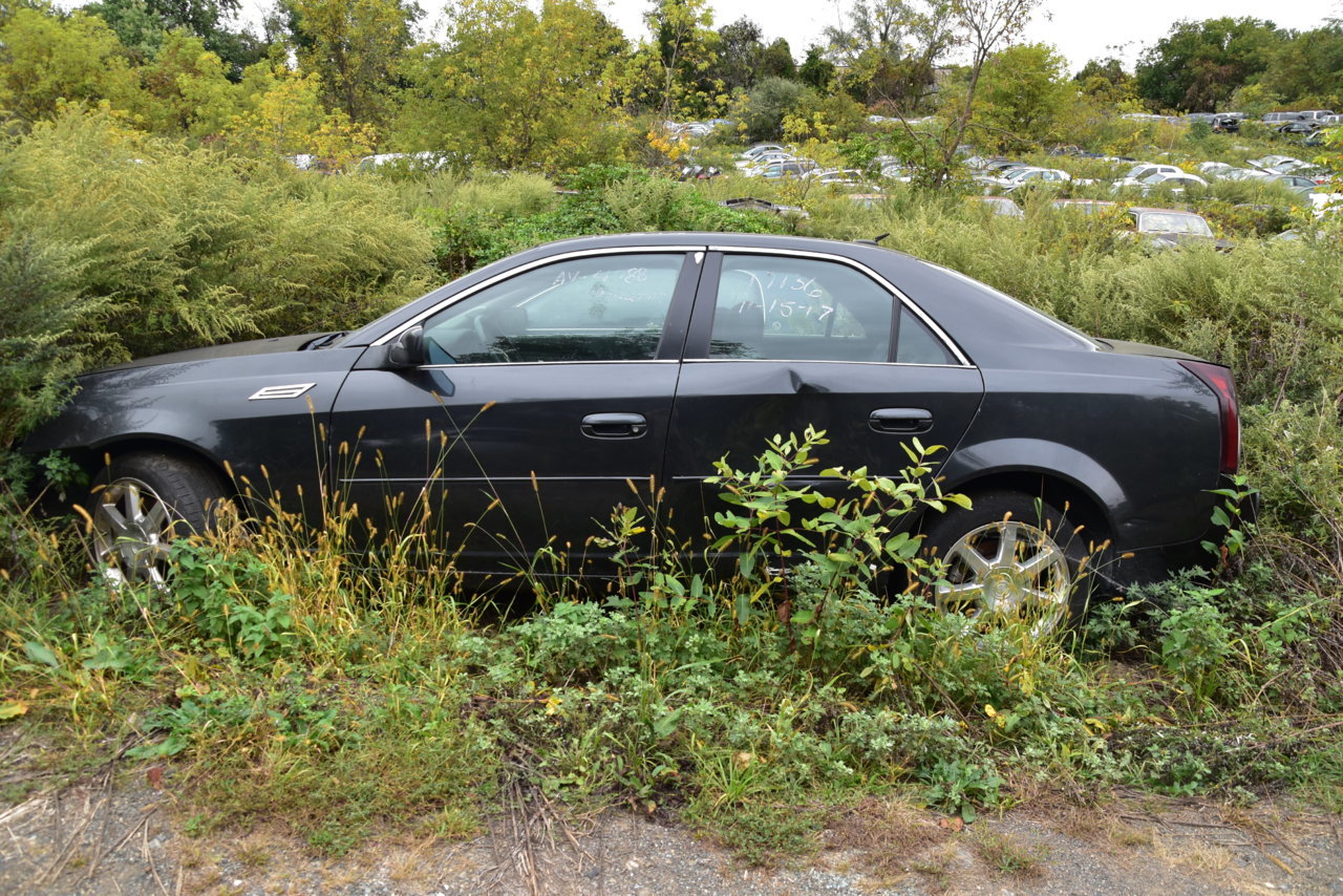 Junkyarding 076.jpg