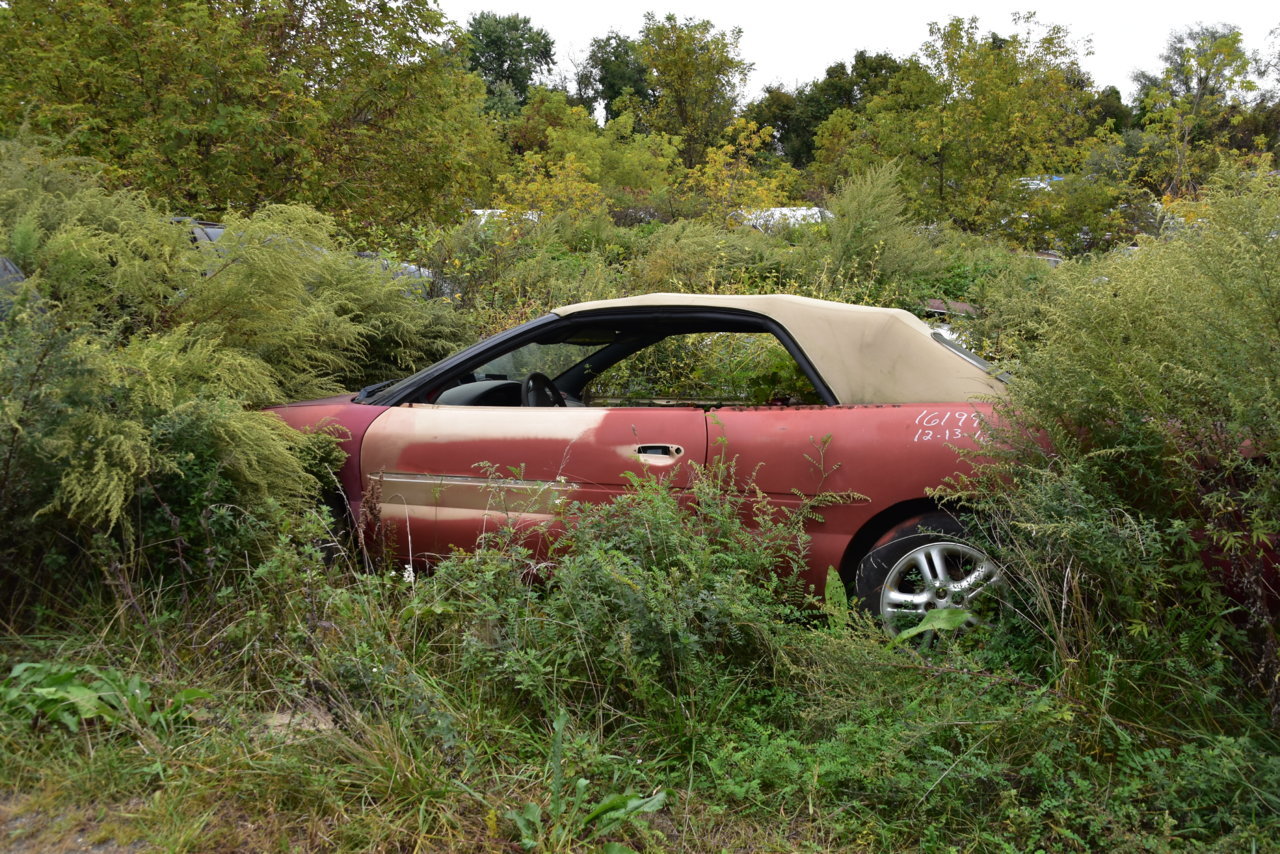Junkyarding 078.jpg