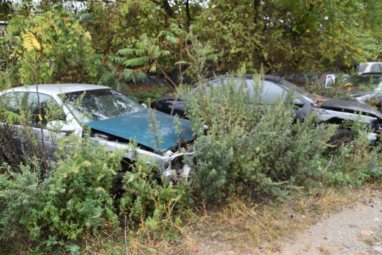 Junkyarding 080.jpg