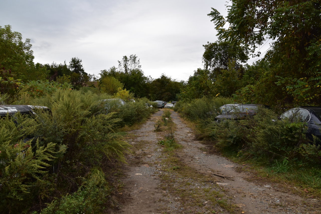 Junkyarding 094.jpg