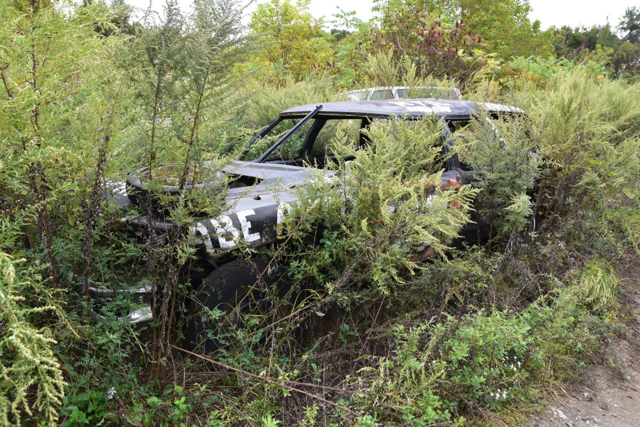 Junkyarding 095.jpg