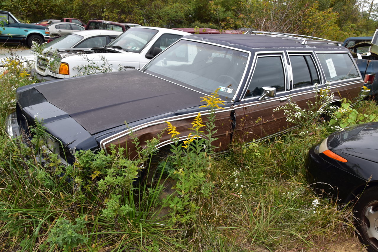 Junkyarding 110.jpg