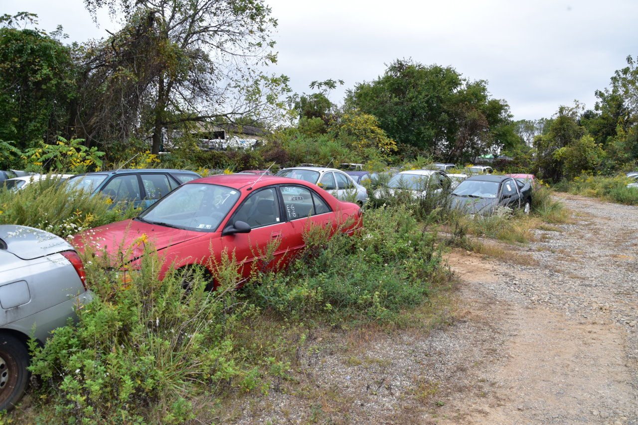 Junkyarding 250.jpg