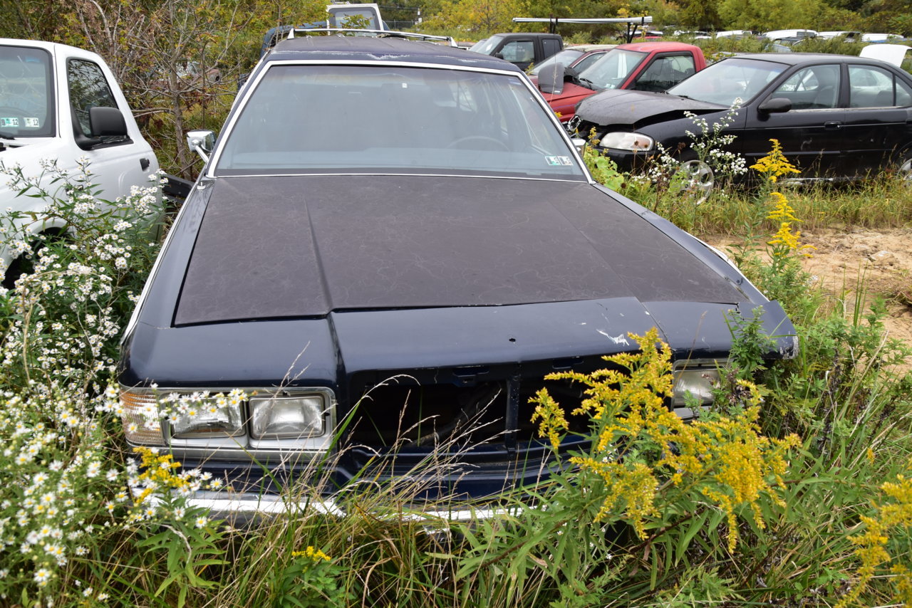 Junkyarding 316.jpg