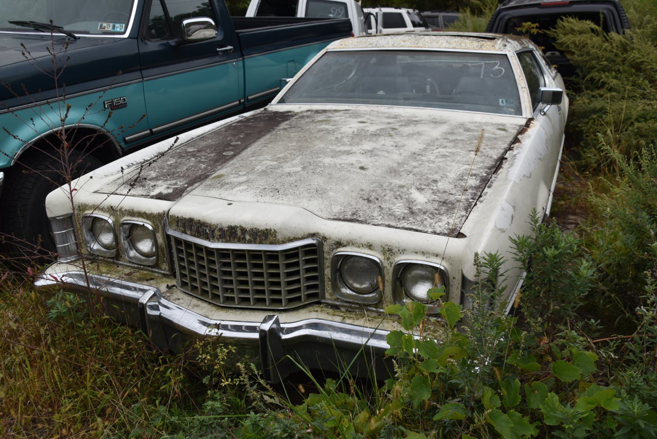 Junkyarding 354.jpg