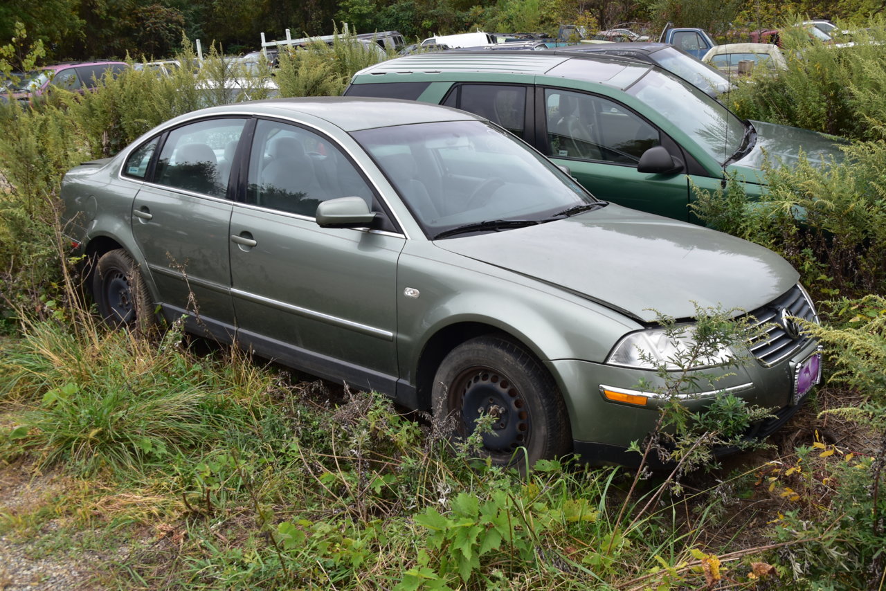 Junkyarding 381.jpg