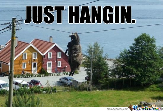 just-hangin_o_148758.jpg
