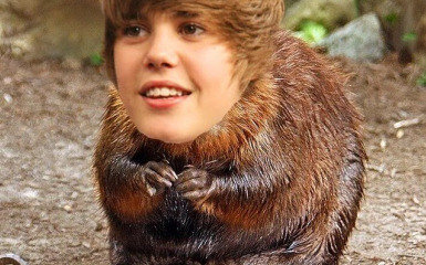 justin-beaver.jpg