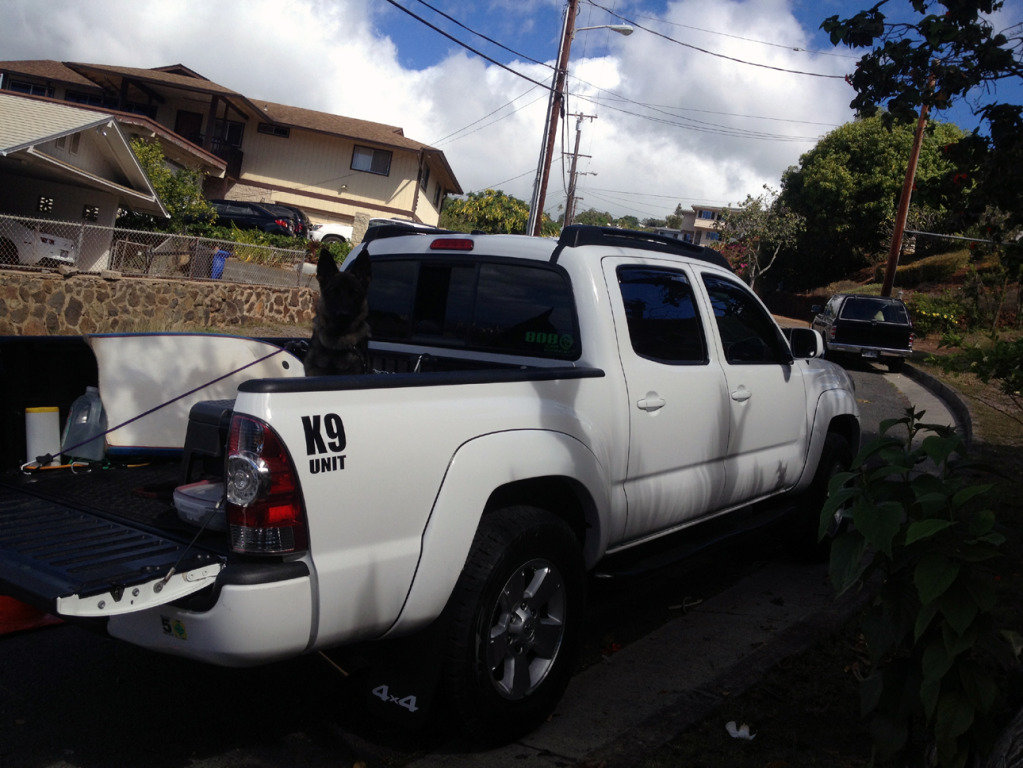 K-9UnitKaOhuStaysinkaimuki_58d69cc367df4912d5a89e3e8cbe7885e5950a8d.jpg