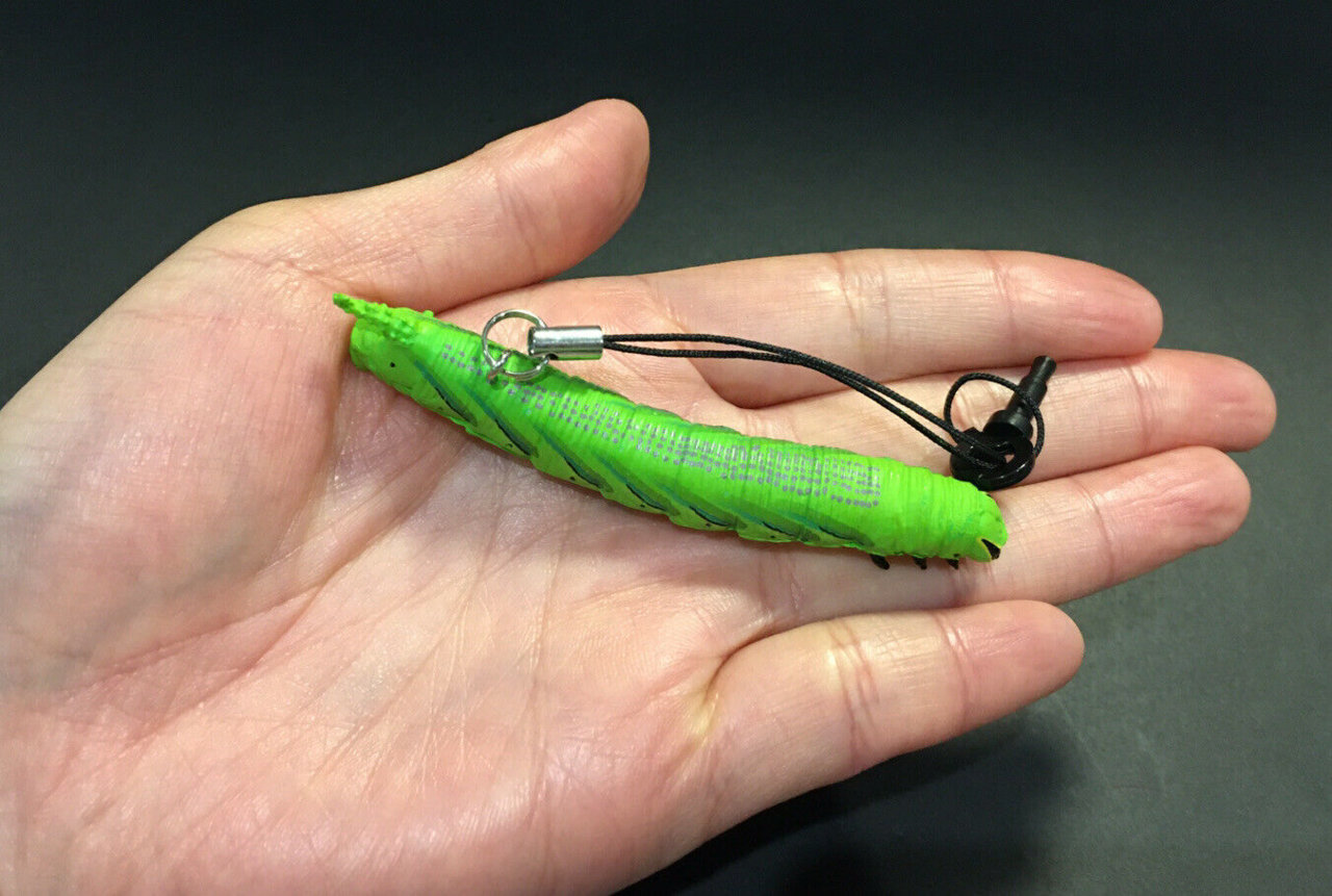 Kaiyodo-Capsule-Q-Deaths-Head-Hawkmoth-Moth-Caterpillar-Butterfly-Insect-Figure-203025178580-5.jpg