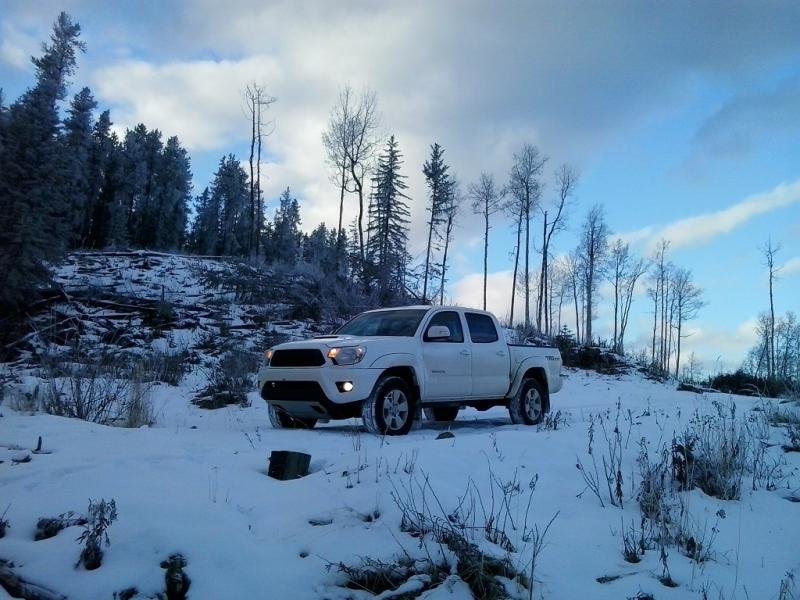 KananaskisNov9_zps54f12ae4_85dfc8955bb458e27c1cacfb6f2a1624abf0f37c.jpg
