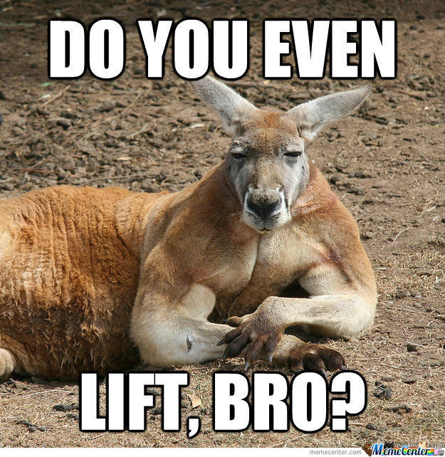 kangaroo-jack_o_908924.jpg