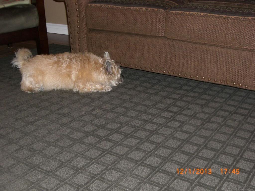 KarawatchingZoe_zps60c17740_fef1dd30ac874c6b1b067969cb67841d8552a0de.jpg
