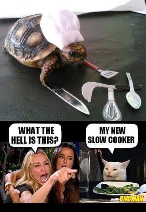 karen_slow_cooker.jpg