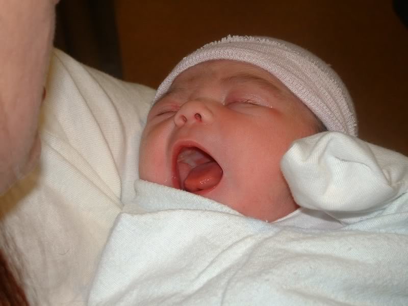 Karsen-10-1_cff1d6034a3cc32c11be348d5810470be5620935.jpg