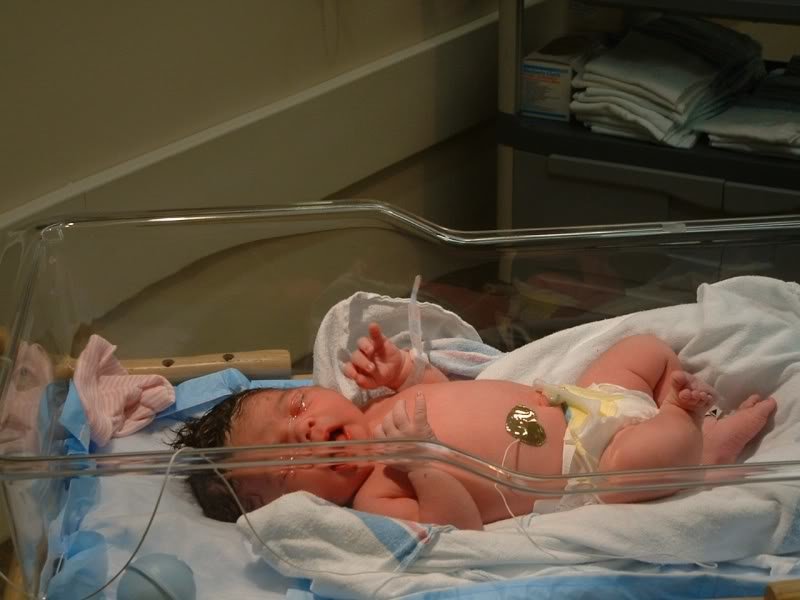 Karsen-7-2_9dac52af507e5732d146a105abde86248c38e70e.jpg