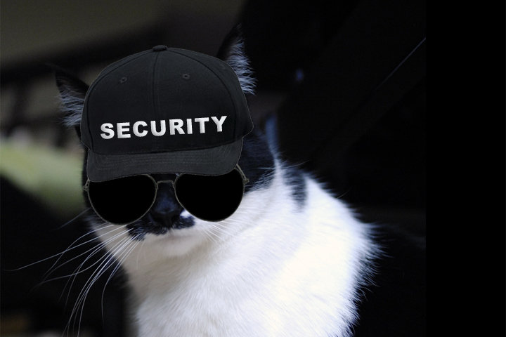 KatieSecurity.jpg