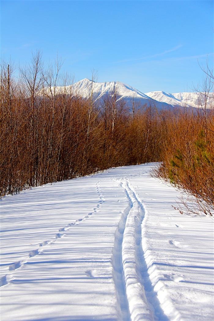kaww-kathadin_loop_road_with_lynx_tracks_susan_adams_700.jpg