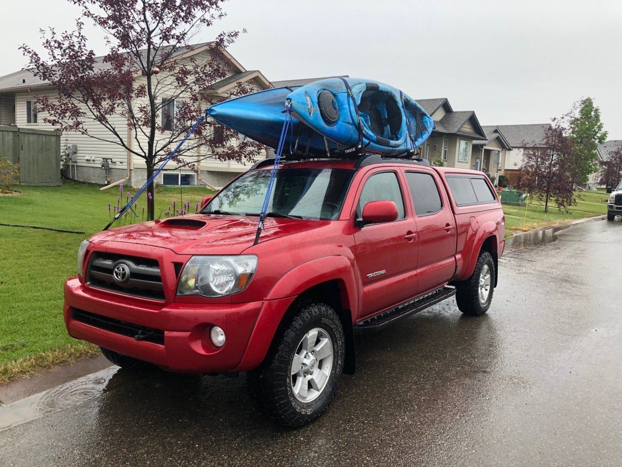 kayak 2.jpg