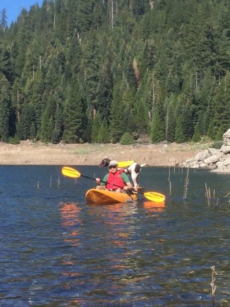 Kayaking Dexter.jpg