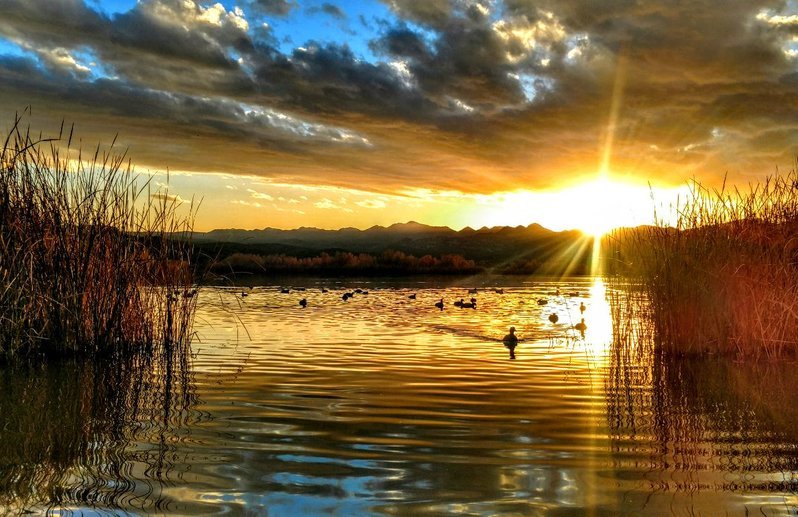 Kearny Lake.jpg