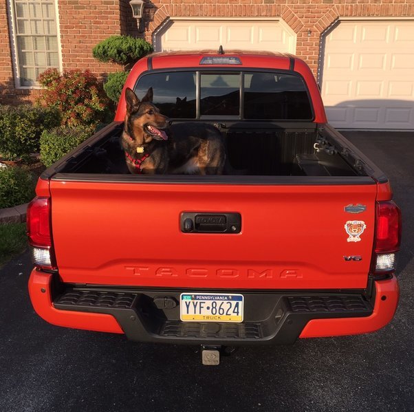 keiko truck.jpg