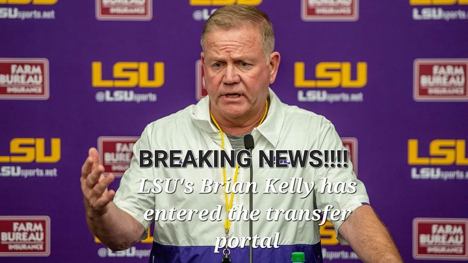 kelly.jpg
