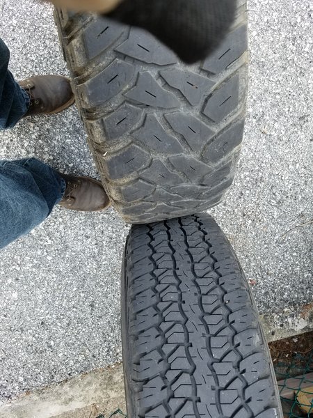 Kenda Klever 3.jpg