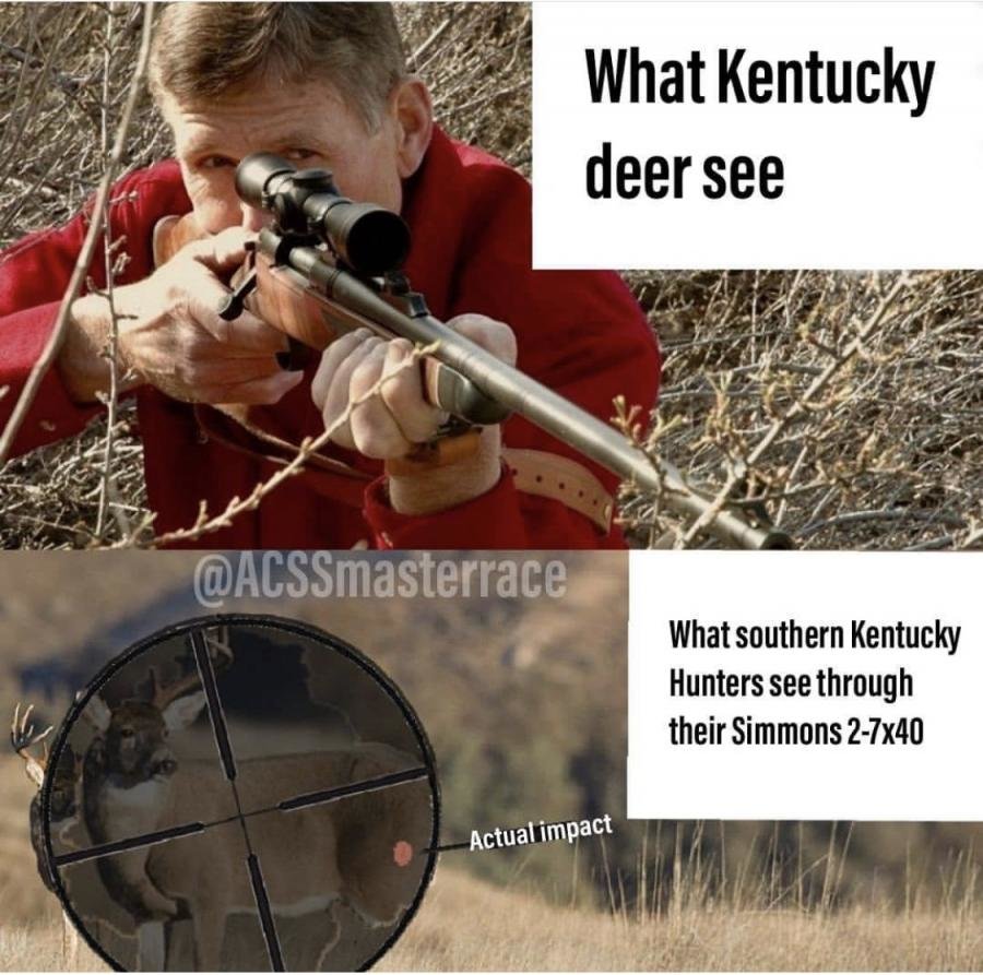 kentucky deer.jpg
