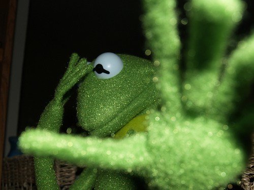 kermit-diva3.jpg