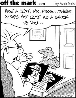 kermit.jpg