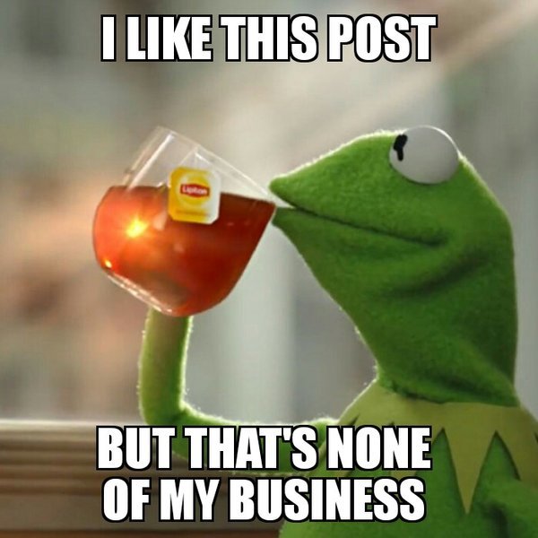 Kermit The Snitch 17032016083536.jpg