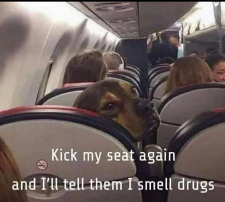 kick-seat.jpg